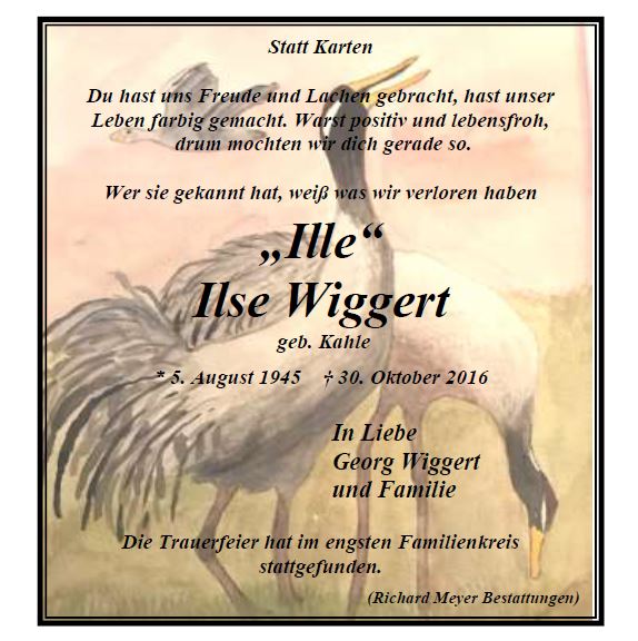 Wiggert-Ilse